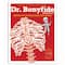 Know Yourself 4 Book Set: Dr. Bonyfide Presents 206 Bones of the Human Body